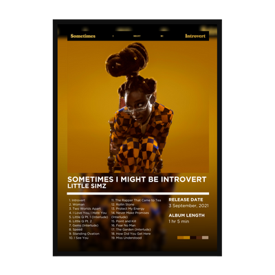 Little Simz - Sometimes I Might Be Introvert